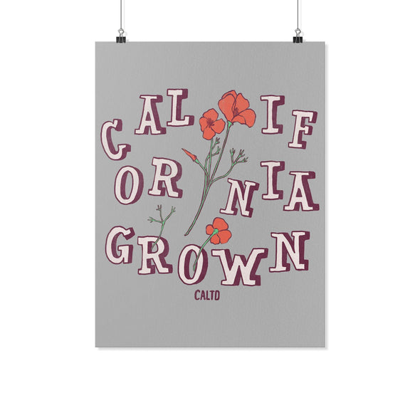 CA Grown Poppies Grey Poster-CA LIMITED