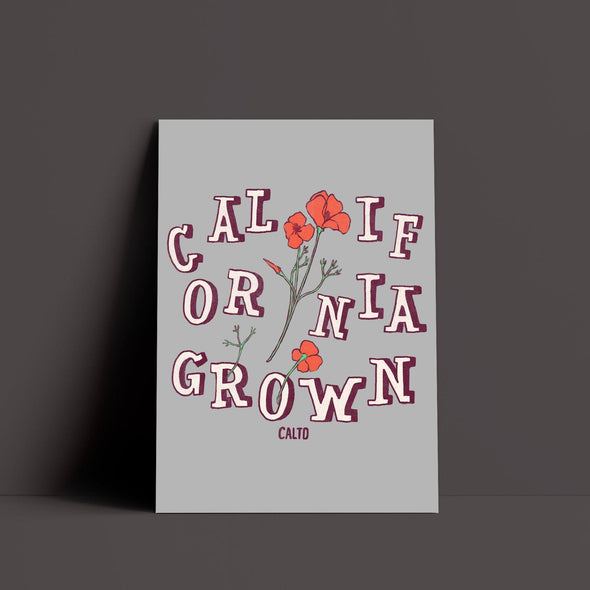 CA Grown Poppies Grey Poster-CA LIMITED