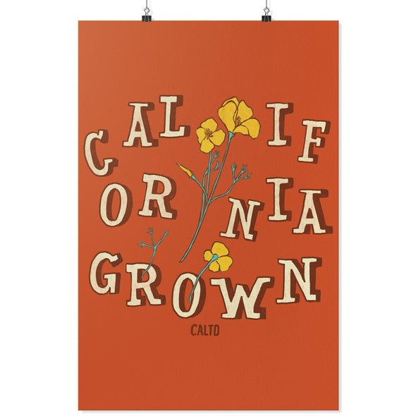 CA Grown Poppies Orange Poster-CA LIMITED