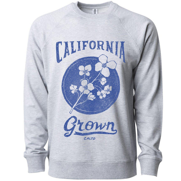 California Grown Circle Raglan Sweater-CA LIMITED