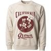 California Grown Circle Raglan Sweater-CA LIMITED